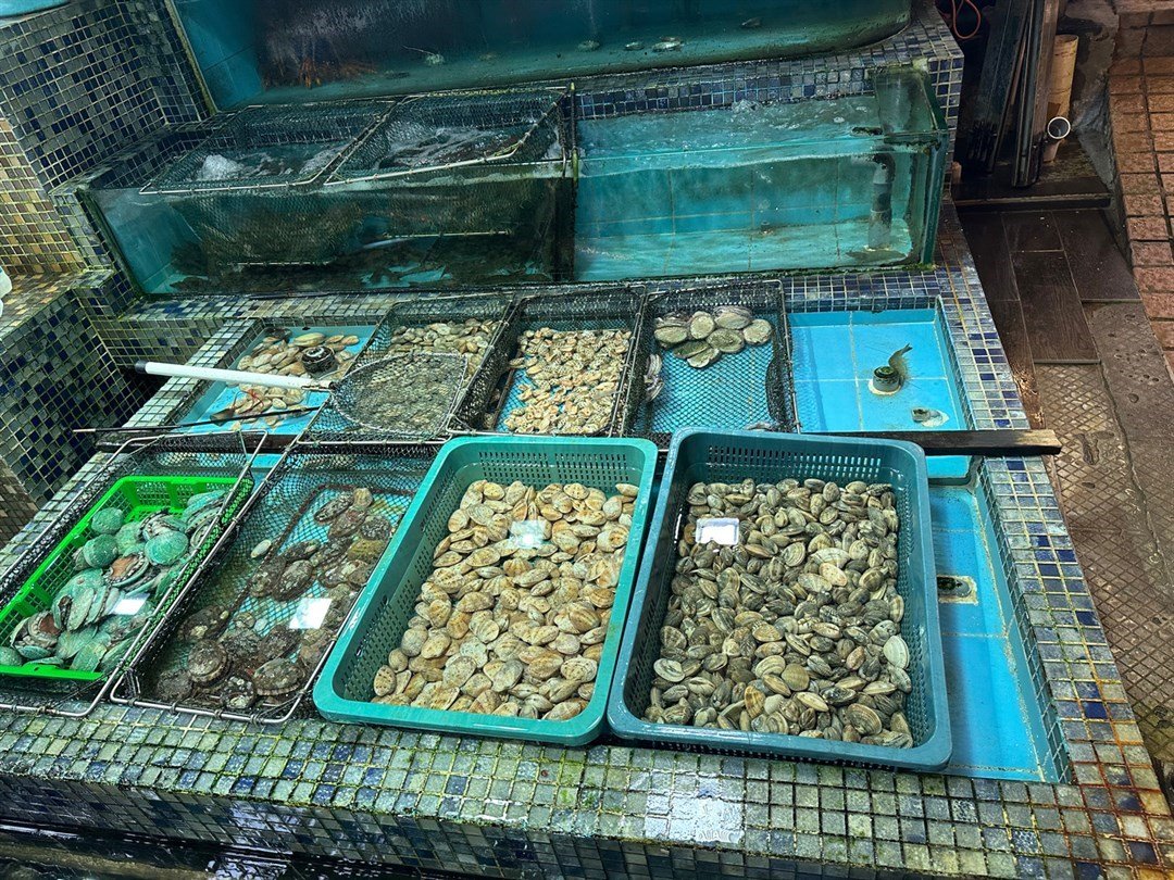 海鮮島墨魚刺身專門店